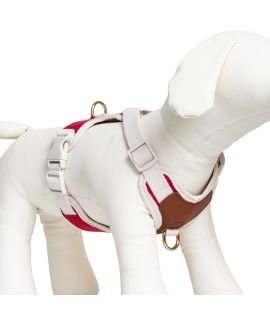 Furri Tail- Explorer 運動寵物胸背帶 