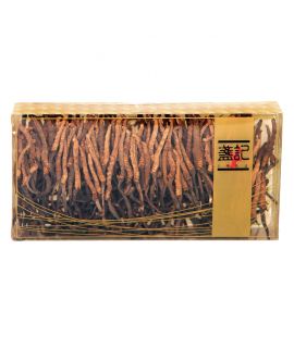 西藏野生冬蟲夏草 (珍珠草)(一兩禮盒裝)(230-260條)