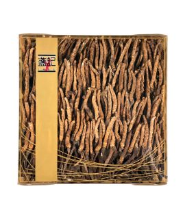 西藏野生冬蟲夏草 (小珍珠草)(一両禮盒裝)300條以上